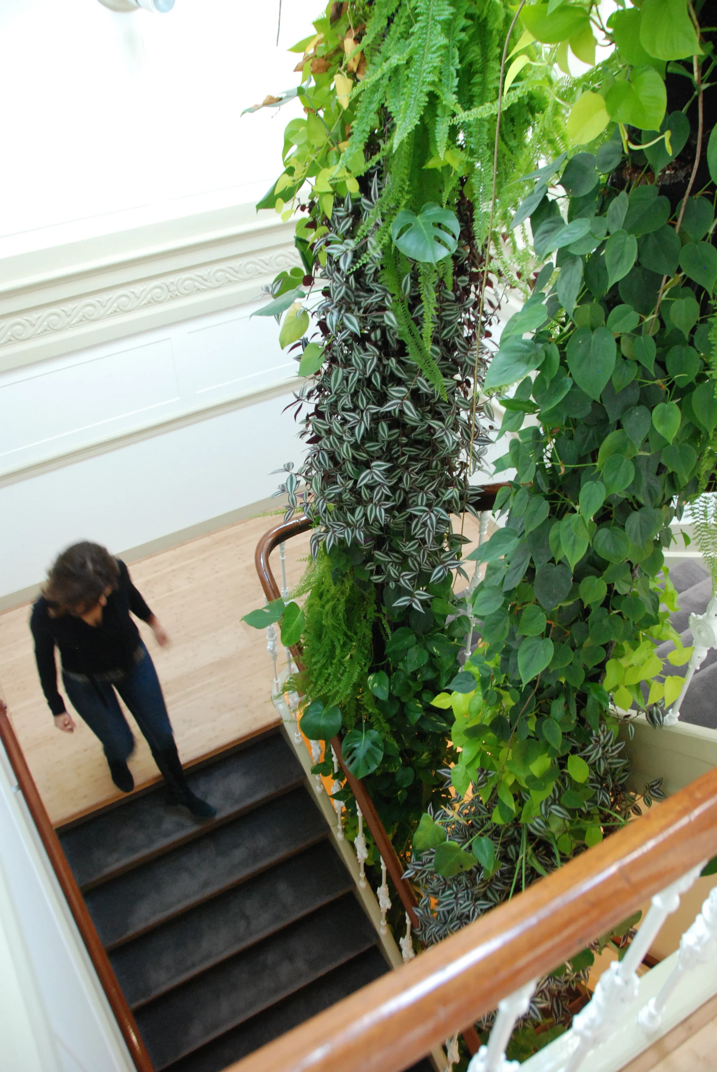 A person walking up a staircase beside a cascading indoor plant wall